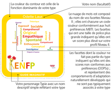 MBTI Niveau II Step II 2 Facettes Préférences et Dynamique Fabrice Mézières 